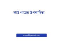 ঝাউ গাছের উপকারিতা: প্রকৃতির এক অপরূপ সম্পদ ঝাউ গাছের উপকারিতা