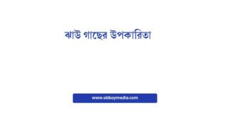 ঝাউ গাছের উপকারিতা