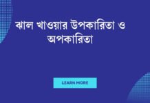 ঝাল খাওয়ার উপকারিতা ও অপকারিতা: স্বাস্থ্যের জন্য কতটা নিরাপদ? ঝাল খাওয়ার উপকারিতা ও অপকারিতা