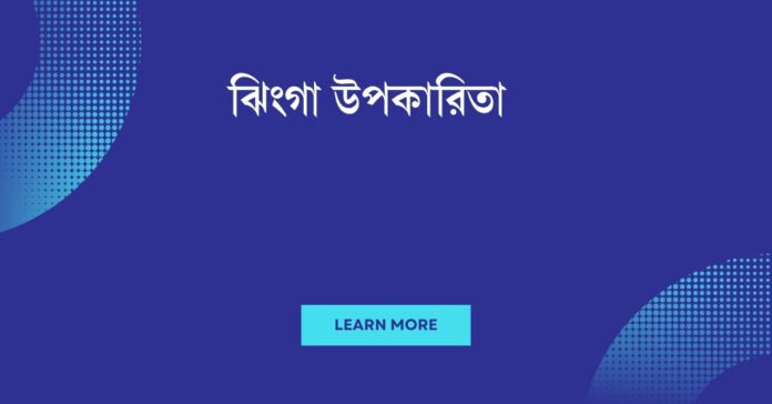 ঝিংগা উপকারিতা ঝিংগা উপকারিতা