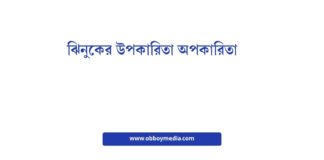 ঝিনুকের উপকারিতা অপকারিতা