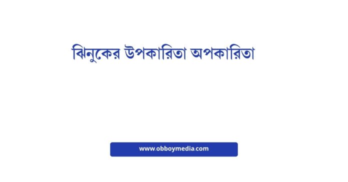 ঝিনুকের উপকারিতা অপকারিতা ঝিনুকের উপকারিতা অপকারিতা