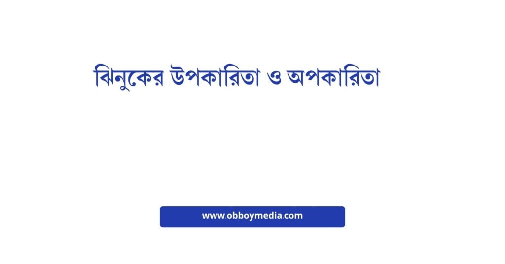 ঝিনুকের উপকারিতা ও অপকারিতা: স্বাস্থ্যের জন্য সতর্কতা ও সুবিধা ঝিনুকের উপকারিতা ও অপকারিতা