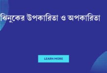 ঝিনুকের উপকারিতা ও অপকারিতা