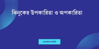 ঝিনুকের উপকারিতা ও অপকারিতা
