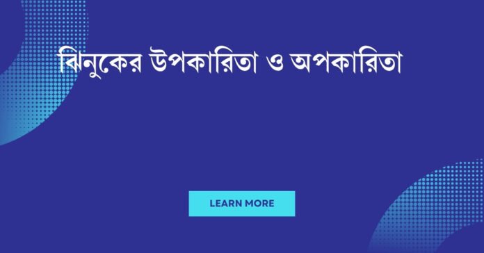 ঝিনুকের উপকারিতা ও অপকারিতা ঝিনুকের উপকারিতা ও অপকারিতা