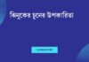 ঝিনুকের চুনের উপকারিতা