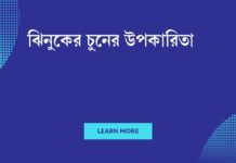 ঝিনুকের চুনের উপকারিতা: ঘরে বসেই পেয়ে যাবেন সুস্থতা ও সৌন্দর্য ঝিনুকের চুনের উপকারিতা