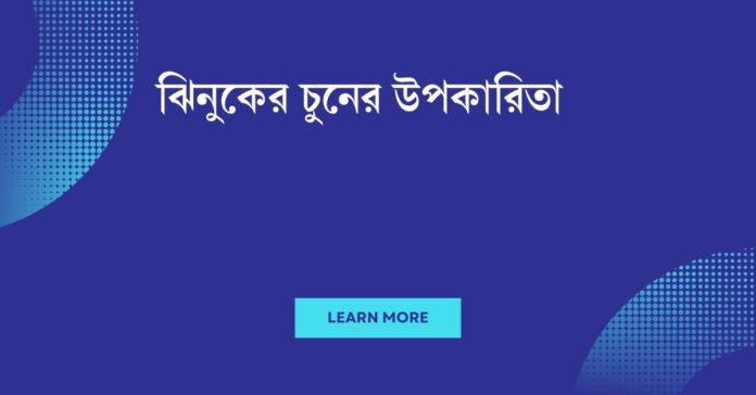 ঝিনুকের চুনের উপকারিতা