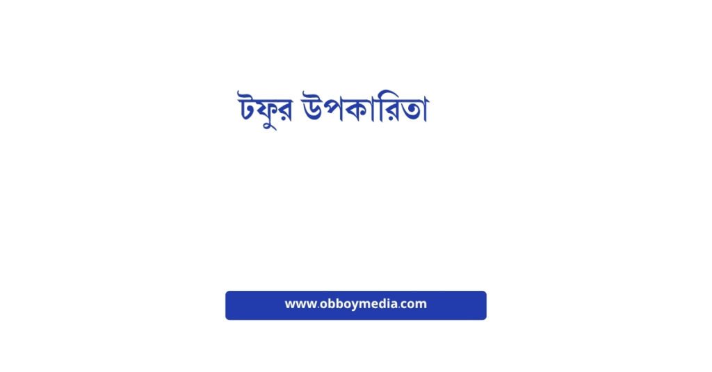 টফুর উপকারিতা: প্রকৃতির এই গোপন রহস্যটি কেন আপনার জীবনে প্রয়োজন টফুর উপকারিতা