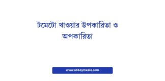 টমেটো খাওয়ার উপকারিতা ও অপকারিতা