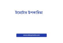 টমেটোর উপকারিতা: স্বাস্থ্যের জন্য একটি রোগ প্রতিরোধী খনিজ খাবার টমেটোর উপকারিতা