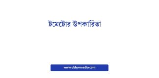 টমেটোর উপকারিতা