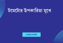 টমেটোর উপকারিতা মুখে: কেন আপনার খাবারে যোগ করা উচিত এই লাল ফলটি টমেটোর উপকারিতা মুখে