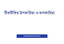 টিকটিকির উপকারিতা ও অপকারিতা: একটি সম্পূর্ণ গাইড টিকটিকির উপকারিতা ও অপকারিতা