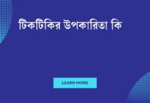 টিকটিকির উপকারিতা কি? এক ঝলক দেখুন! টিকটিকির উপকারিতা কি
