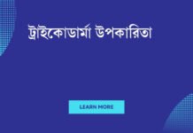 ট্রাইকোডার্মা উপকারিতা: ত্বকের স্বাস্থ্যের জন্য একটি অপ্রতিরোধ্য সমাধান ট্রাইকোডার্মা উপকারিতা