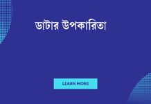ডাটার উপকারিতা: আজকের বিশ্বের নতুন ধ্বনি ডাটার উপকারিতা