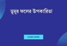 ডুমুর ফলের উপকারিতা: স্বাস্থ্যকর, সুস্থ জীবনের গোপন দরজা ডুমুর ফলের উপকারিতা
