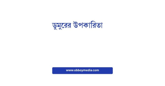 ডুমুরের উপকারিতা