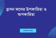 ড্রাগন ফলের উপকারিতা ও অপকারিতা: সুস্থতা ও ব্যবহারের জন্য সঠিক ধারণা ড্রাগন ফলের উপকারিতা ও অপকারিতা