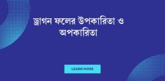 ড্রাগন ফলের উপকারিতা ও অপকারিতা