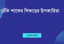 ঢেঁকি শাকের শিকড়ের উপকারিতা: গুপ্ত স্বাস্থ্য সম্পদ আনলক করুন ঢেঁকি শাকের শিকড়ের উপকারিতা