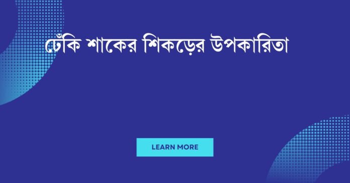 ঢেঁকি শাকের শিকড়ের উপকারিতা ঢেঁকি শাকের শিকড়ের উপকারিতা