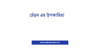 ঢেঁড়স এর উপকারিতা