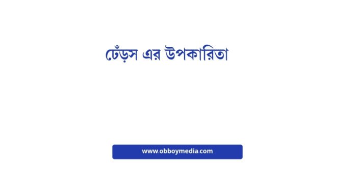 ঢেঁড়স এর উপকারিতা
