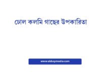 ঢোল কলমি গাছের উপকারিতা: প্রাকৃতিক সৌন্দর্য ও স্বাস্থ্যের গুপ্ত সম্পদ ঢোল কলমি গাছের উপকারিতা