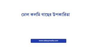 ঢোল কলমি গাছের উপকারিতা