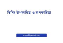 তিসির উপকারিতা ও অপকারিতা: একটি সম্পূর্ণ গাইড তিসির উপকারিতা ও অপকারিতা
