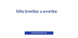 তিসির উপকারিতা ও অপকারিতা