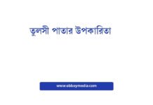 তুলসী পাতার উপকারিতা: এক গাছের অপরূপ সেবন তুলসী পাতার উপকারিতা