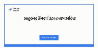 তেতুলের উপকারিতা ও অপকারিতা