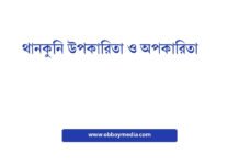 থানকুনি উপকারিতা ও অপকারিতা: এক নজরে সম্পূর্ণ বিশ্লেষণ থানকুনি উপকারিতা ও অপকারিতা