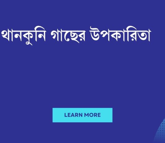 থানকুনি গাছের উপকারিতা: একটি স্বপ্নের চিকিৎসা বৃক্ষ থানকুনি গাছের উপকারিতা