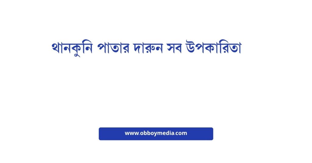 থানকুনি পাতার দারুন সব উপকারিতা: একটি সুপারন্যাচারাল হেলথ পাওয়ারহাউস থানকুনি পাতার দারুন সব উপকারিতা