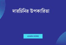 দারচিনির উপকারিতা: এক সেদ্ধ গুড়িতে স্বাস্থ্যের রহস্য দারচিনির উপকারিতা