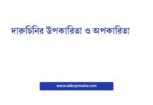 দারুচিনির উপকারিতা ও অপকারিতা: একটি সম্পূর্ণ গাইড দারুচিনির উপকারিতা ও অপকারিতা