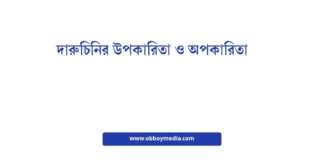 দারুচিনির উপকারিতা ও অপকারিতা