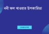 ননী ফল খাওয়ার উপকারিতা: স্বাস্থ্যের জন্য একটি আদর্শ পছন্দ ননী ফল খাওয়ার উপকারিতা