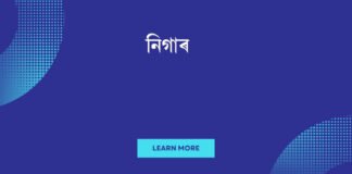 নিগাৰ