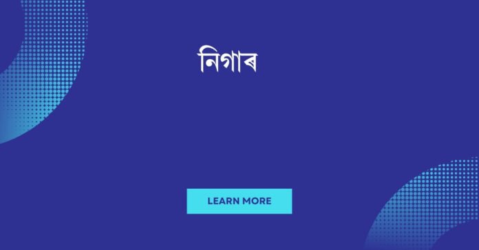 নিগাৰ নিগাৰ