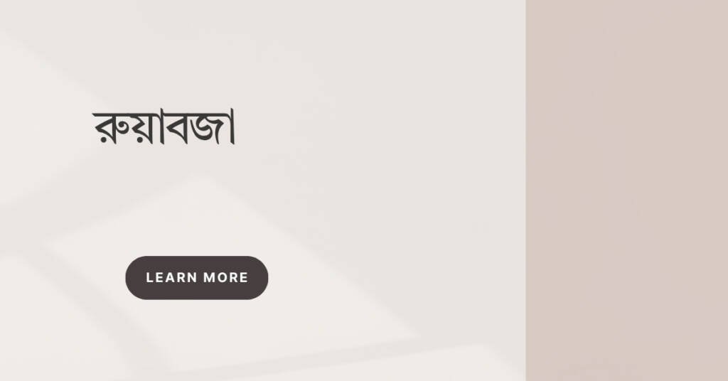 রুয়াবজা: বাংলাদেশের ঐতিহ্যবাহী মিষ্টির গল্প রুয়াবজা