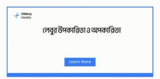 লেবুর উপকারিতা ও অপকারিতা