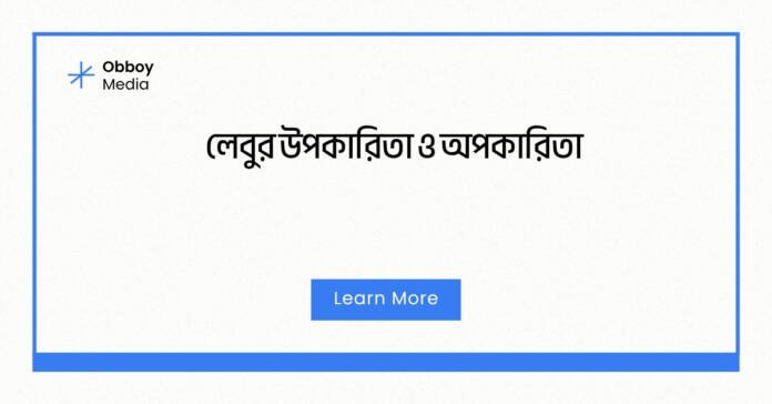 লেবুর উপকারিতা ও অপকারিতা লেবুর উপকারিতা ও অপকারিতা
