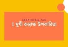 1 মুখী রুদ্রাক্ষ উপকারিতা