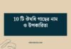 10 টি ঔষধি গাছের নাম ও উপকারিতা: প্রকৃতির চিকিৎসক থেকে স্বাস্থ্যের সুবিধা 10 টি ঔষধি গাছের নাম ও উপকারিতা